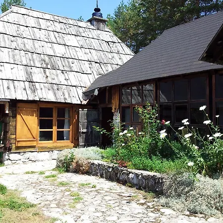Apartament Art And Nature Vodice