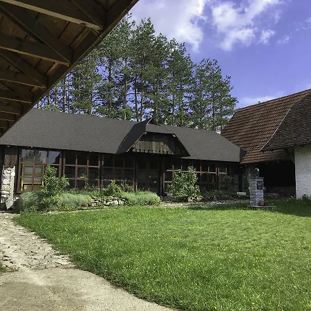 Art And Nature Vodice