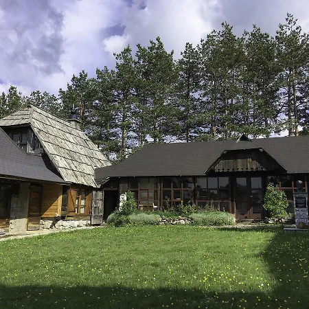 Art And Nature Vodice