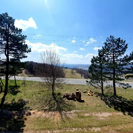 Art And Nature Vodice