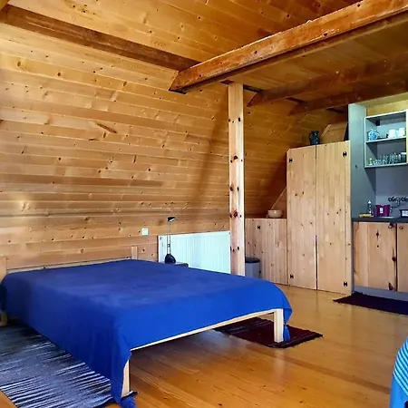 Art And Nature * Vodice