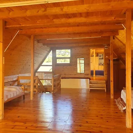 Art And Nature Vodice