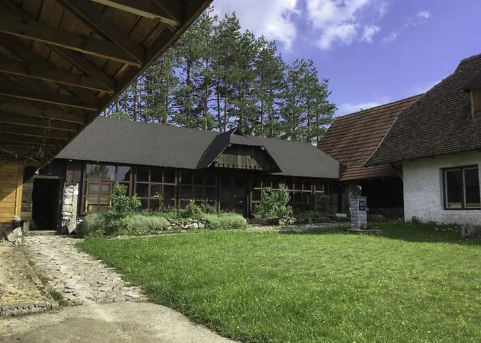 Art And Nature Vodice