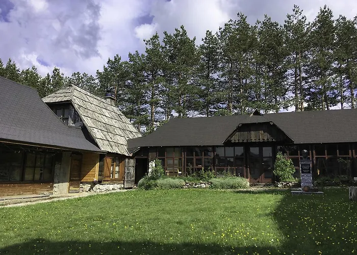 Art And Nature Vodice