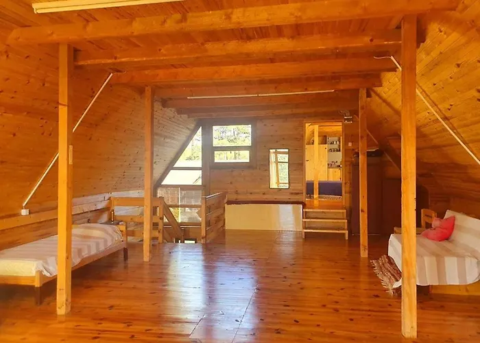 Art And Nature Vodice